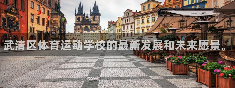 JJB竞技宝官方正版app娱乐40996:武清区体育运动学校